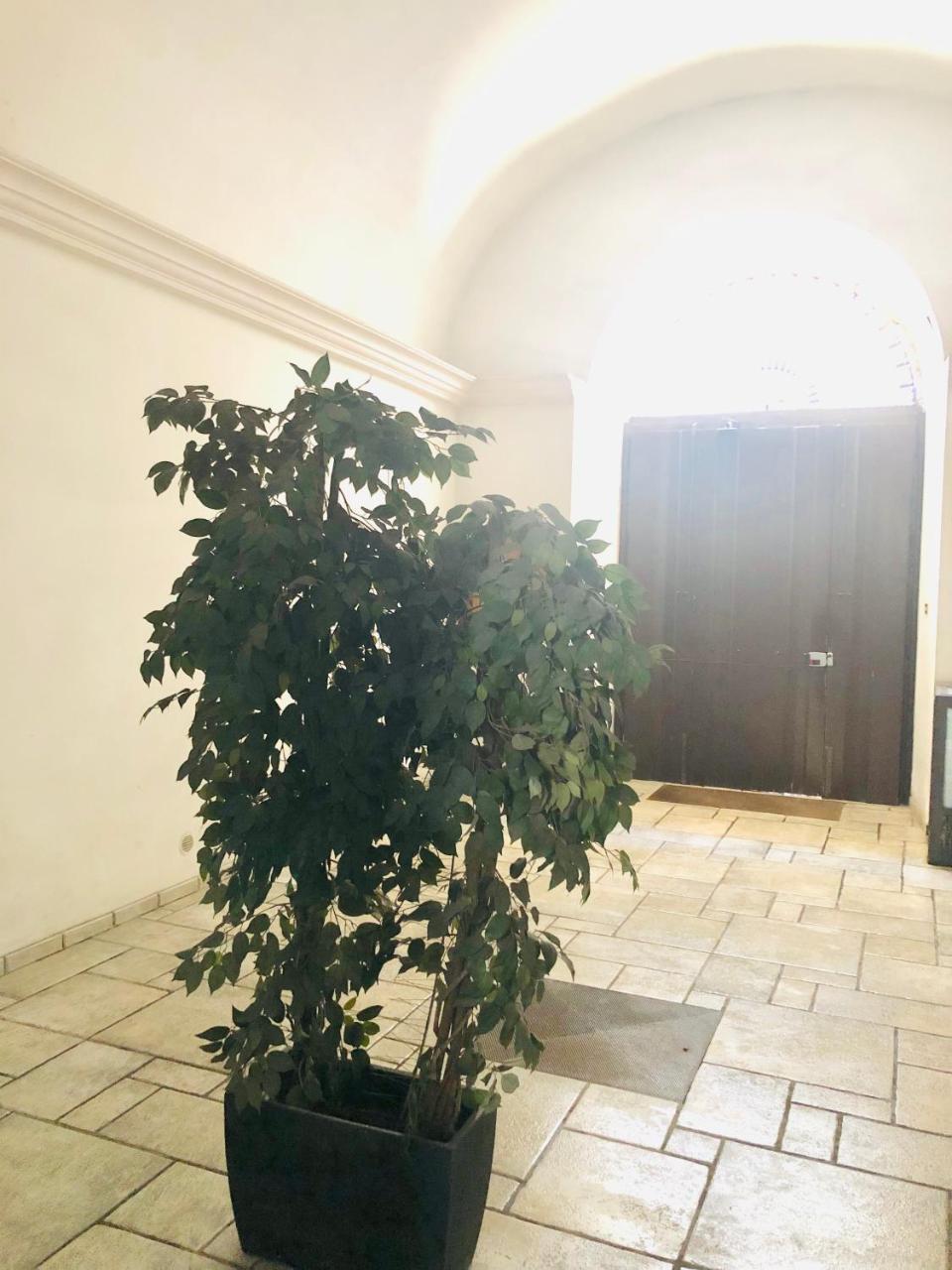 Baricityhouse Екстер'єр фото