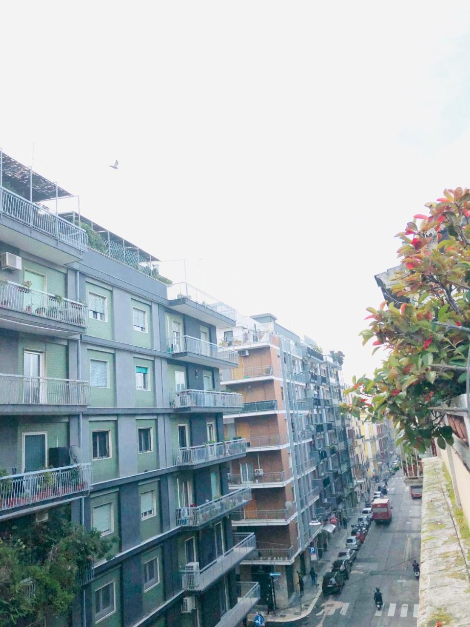 Baricityhouse Екстер'єр фото